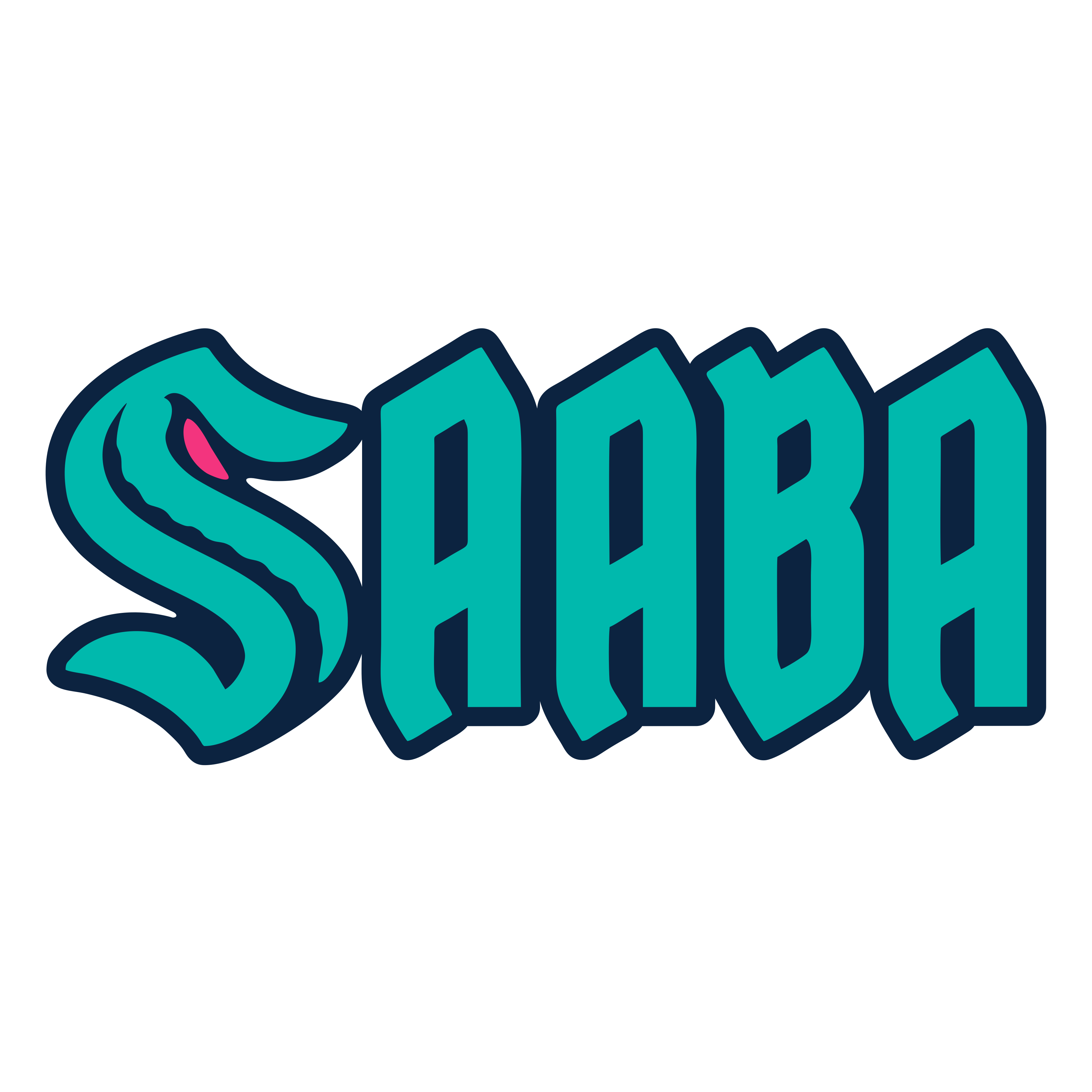 Api Saaba SAABA – Custom Life Co.