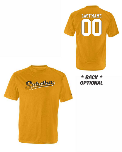 Sabetha City Ball Badger Performance T-Shirt