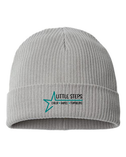 Little Steps Dance Studio Beanies