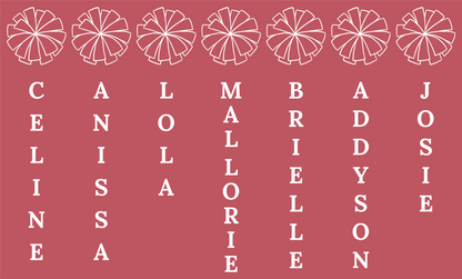 Sabetha Cheer Bow